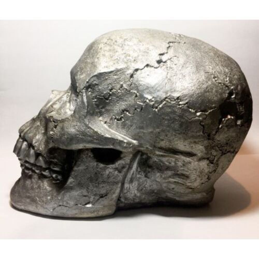 RARE Realistic Human Skull, Life Size Halloween Decoration Missing Front Tooth